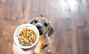 Homepage › pet supplies › best dog food uk 2021. 5 Best Human Grade Dog Foods 2021 Reviews Ratings
