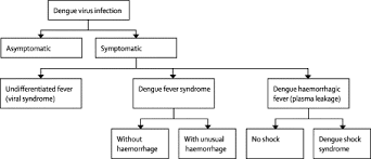 Personal protection from mosquito bites: The Who Dengue Classification And Case Definitions Time For A Reassessment The Lancet