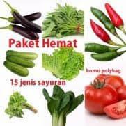 Kucai merupakan tanaman sayur yang digunakan sebagai penambah kesedapan makanan serta memiliki banyak khasiat bagi kucai adalah tanaman sayuran sekaligus tanaman herbal yang biasa dimanfaatkan untuk campuran masakan agar terasa lebih sedap. Jual Benih Bibit Tanaman Sayuran Murah Lengkap Bibit Online