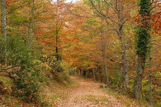 Monte Hijedo, Espacios Naturales protegidos de Cantabria