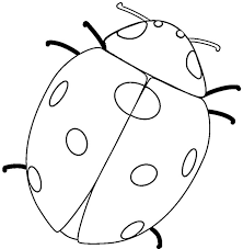 Va prezentam cateva planse de colorat pentru copii cu insecte, de aceasta data planse de colorat cu articole asemanatoare relatate Planse De Colorat Cu Buburuze