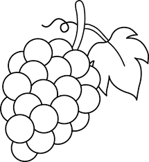 Black And White Vines Clipart Grapes Black And White Lineart Free Clip Art Fruit Coloring Pages Grape Drawing Coloring Pages For Kids