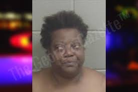 Darlene Tyree — Wayne County Jail Bookings