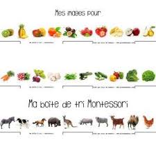Montessori Cartes De Nomenclatures Fruits Et Legumes A Telecharger Et A Imprim Lettres Majuscules Et Minuscules Les Lettres Majuscules Apprendre Les Lettres