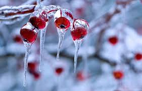 Winter Wallpaper For Desktop Background Mo9v74f Jpg Picserio Com Download hd desktop backgrounds best collection. winter wallpaper for desktop background