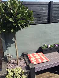 Wall Painted In Farrow Ball Downpipe Bench Planter In Cuprinol Garden Shades Lavender And Black Ash Cuprinol Garden Shades Shade Garden Cuprinol