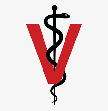 For information about sf logos and their appropriate uses, please see the visual identity page in the guidelines section of this brand guide. Branded Powerpoint Letterhead Logo Veterinary Png Png Image Transparent Png Free Download On Seekpng