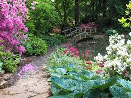 Hier kann man sich eine vielzahl von pflanzen verschiedener klimazonen anschauen. Fuhrung Durch Den Alten Botanischen Garten Veranstaltungen Tuebingen Info De