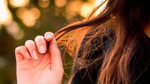 Die verwendung dieses tools beinhaltetanwendung auf feuchtes haar. Haarlaminierung Selber Machen Amicella De