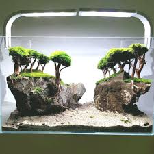 Untitled In 2020 Aquascape Design Aquascape Aquarium Landscape