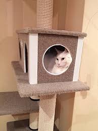 Discount applies to selected products. Cat Tree Wikipedia