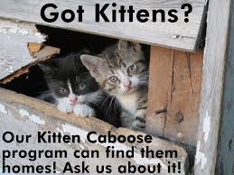 Maybe you would like to learn more about one of these? Spay Neuter Form Feral Cat Coalition Of Oregon