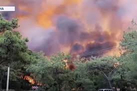 Jun 27, 2021 · в турции вспыхнул масштабный пожар на курортном побережье 18:50, 27 июня 2021 мировые новости , происшествия Q02gowfcttst M