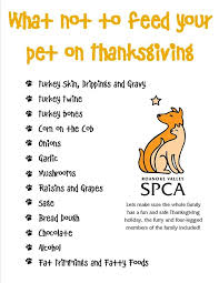 What Not To Feed Your Pet On Thanksgiving Cat Health Your Pet Dog Health
