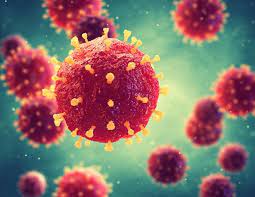 Monkeypox is a rare and infectious disease caused by monkey virus, transmitted from animals to human, with symptoms similar to those of smallpox, although less severe. Monkeypox 2003 U S Outbreak