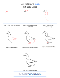 How To Draw A Duck Coloring Pages Duck Drawing Cute Easy Drawings Draw