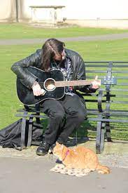 Von Nichts Kommt Nichts Bob Und James Bei Der Arbeit C Bastei Lubbe A Cat Named Bob Street Cat Bob Cats And Kittens