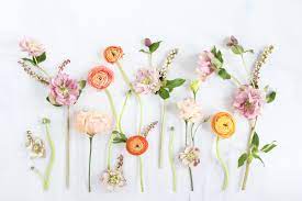 Search your top hd images for your phone, desktop or website. Related Image Floral Wallpaper Desktop Flower Desktop Wallpaper Computer Wallpaper Desktop Wallpapers