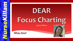 Documentation Part 2 Dear Focus Charting Explained