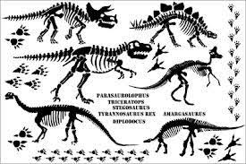 Pin On Montessori Dinosaurs