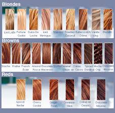 Tipshealthcarewomen Brown Hair Color Chart Brown Hair Color