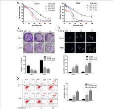 Continue reading to find out more about lung cancer symptoms, what to watch out and listen for. Anlotinib Inhibited Proliferation And Induced Apoptosis Of Human Lung Download Scientific Diagram