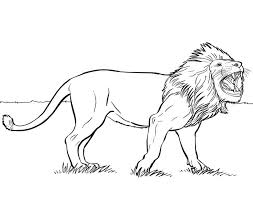 Check spelling or type a new query. Cool Lion Coloring Pages Pdf Ideas 2021 Animal Coloring Pages Lion Coloring Pages Coloring Pages
