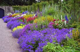 Floors Castle Scotland Castle Flowers Plants