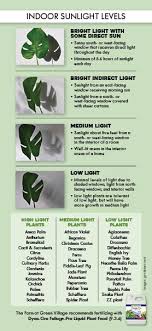  small fruits and berries  Download Our Guide To Lighting For Houseplants The Farm At Green Village