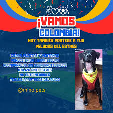 Rhino Pets Clinica Veterinaria