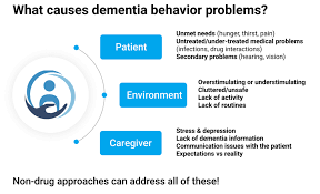 Image result for Behavior Problems in Dementia