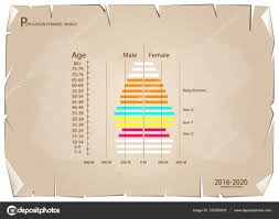 2016 2020 Population Pyramids Graphs With 4 Generation