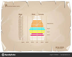 2016 2020 population pyramids graphs with 4 generation