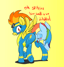 Rule34 - If it exists, there is porn of it  zev, rainbow dash (mlp),  spitfire, spitfire (mlp), wonderbolts (mlp)  97135