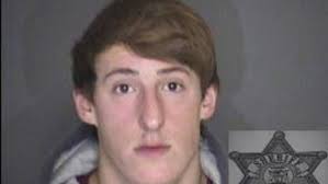 Lapeer County teen arrested for armed robbery