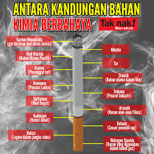 Mau tahu jenis racun dalam rokok yang akan masuk ke tubuh jika dihisap? Kandungan Bahan Kimia Dalam Rokok