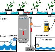 Schematic of the small-scale ebb-and-flow irrigation system ...