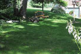 No Mow Grass Grass Alternatives Houselogic Lawn Tips .34 best grassless (no mow yards!) photos on pinterest.