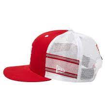 Men S Rob Dyrdek Lux Stripe Hat Adyha00031 Dc Shoes