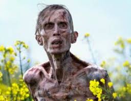 Jane Austen Wrecked My Life riffs