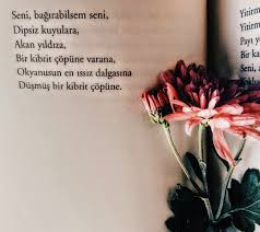 Bunlar, engerekler ve çıyanlardır, bunlar, aşımıza, ekmeğimize göz koyanlardır, tanı bunları,. I Wonder A Lot Seni Bagirabilsem Seni Dipsiz Kuyulara Akan