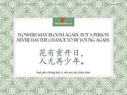 chinese for kids learning mandarin chinese is easy and fun learn mandarin chinese words mandarin chinese learning