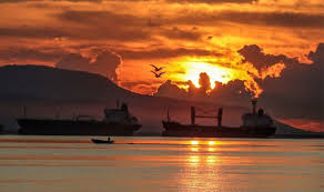 Steffie gregg belongs from jamaica. Ujogi 5a2qphqm