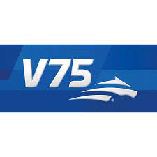 Get your very own dedicated it team with v75's software development as a service (sdaas). V75 Abytravet