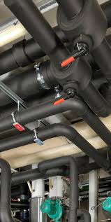 Image result for Memecylon insulare