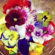 Dgstoreuk offers edible petals and edible flowers in uk with free delivery across uk. The Beauty Of Organic Flowers