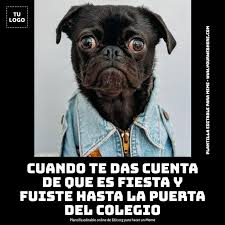 Plantillas de Memes editables para tu negocio