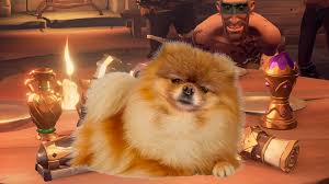 How much does a pet cost in sea of thieves? Are There Dogs In Sea Of Thieves Shacknews