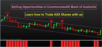 Commonwealth bank of australia (cba) is australia's leading providers of integrated financial services, providing retail, business and institutional banking, funds management, superannuation, life insurance, general insurance, broking services and finance company activities. Get Benefits By Hedging Australian Bank Shares With Training From Us