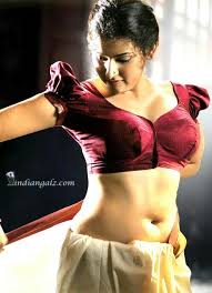 Shalu menon in blouse only before police officer. Pin On Saree Side View